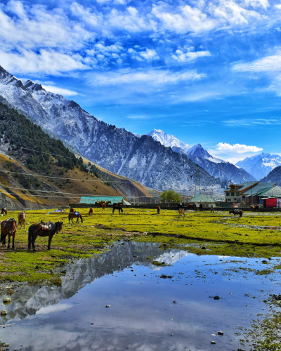 Pahalgam 3N4D